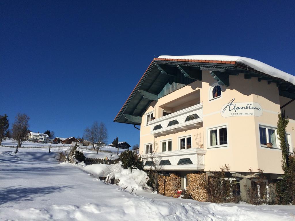 Appartement Alpenblume Schladming Exterior foto