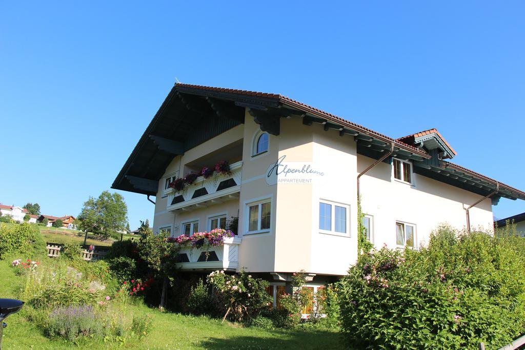 Appartement Alpenblume Schladming Exterior foto